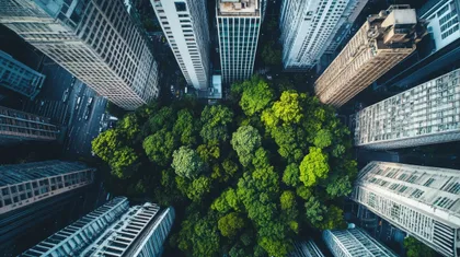 The European Sustainability Reporting Standards have become established among large companies. The European Sustainability Reporting Standards have become established among large companies.